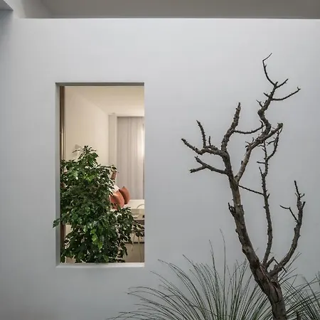Mimaze Minimalist Living וילה אלונדה